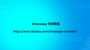 WhatsApp 号码数据